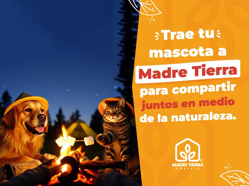 Descuentos Madre tierra